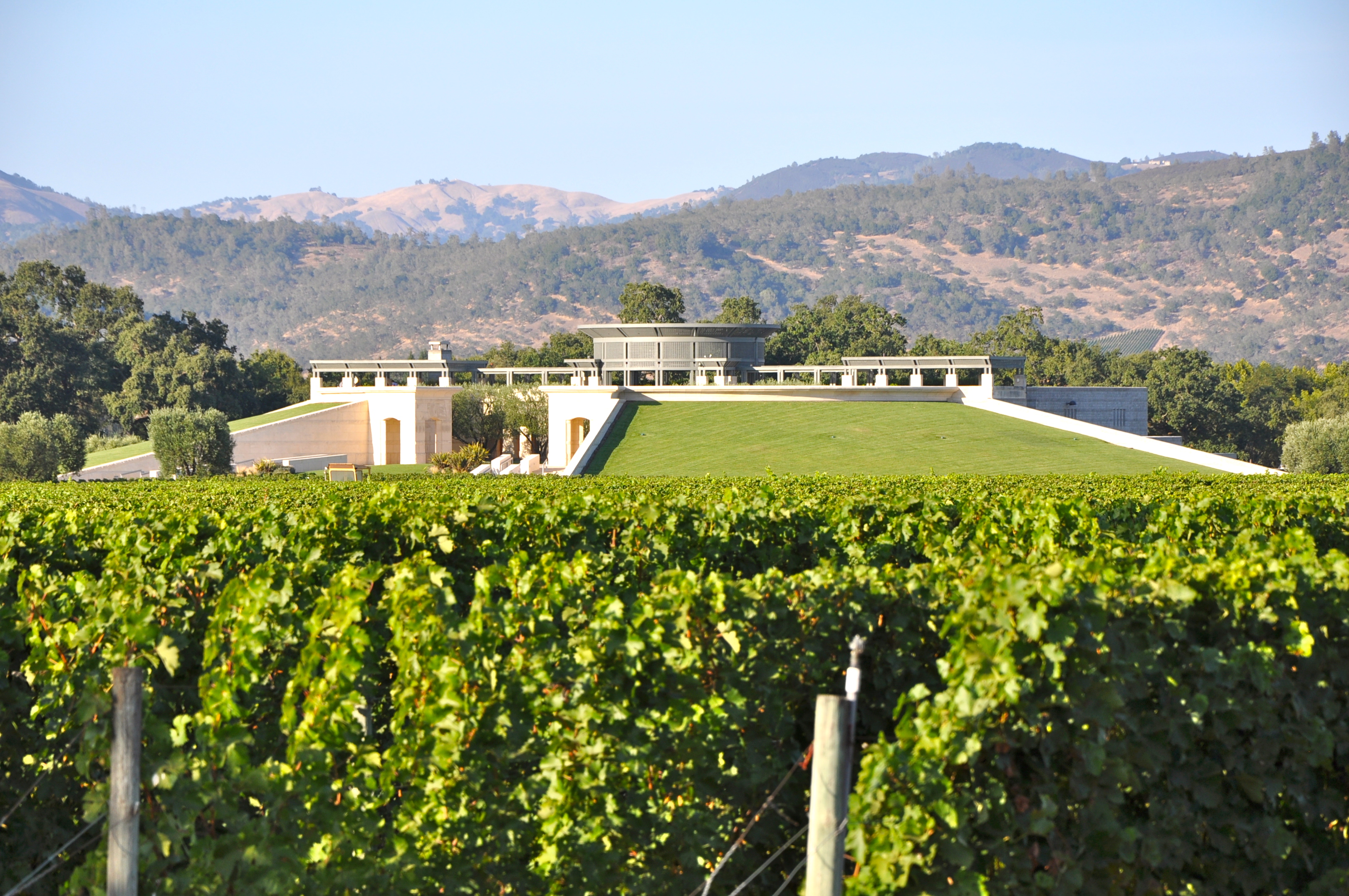 Napa Valley Deep Red Cellar